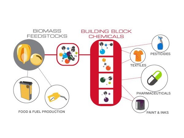 Diagram of Biomass feedstocks being turned into building block chemicals